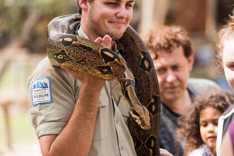 Private Ballarat And Sovereign Hill Tour From Melbourne - New South Wales Tourism  4