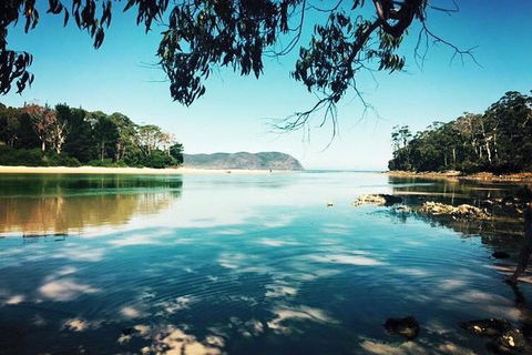 Full-Day Guided Bruny Island Tour From Hobart - New South Wales Tourism  1
