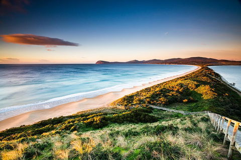 Full-Day Guided Bruny Island Tour From Hobart - New South Wales Tourism  2