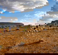 Mount Conner 4WD Small Group Tour from Ayers Rock including Dinner - New South Wales Tourism 