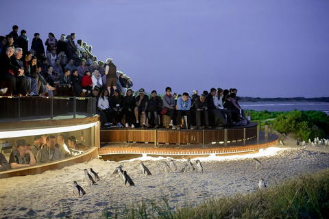 Small-Group Phillip Island Penguin Parade Day Tour From Melbourne - New South Wales Tourism  3