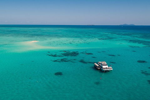 Ocean Freedom Great Barrier Reef Personal Luxury Snorkel & Dive Cruise, Cairns - New South Wales Tourism  2