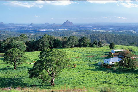 Full Day Sunshine Coast Hinterland Luxury Small Group Tour From Brisbane - New South Wales Tourism  2