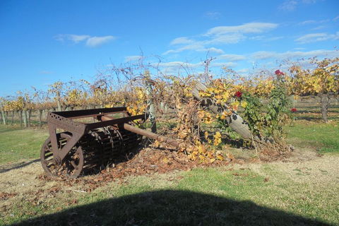 Swan Valley Tour From Perth: Wine, Beer And Chocolate Tastings - New South Wales Tourism  3