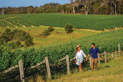 10 Day Perth To Adelaide Private Tour - The Great Australian Wilderness Journey - New South Wales Tourism  0