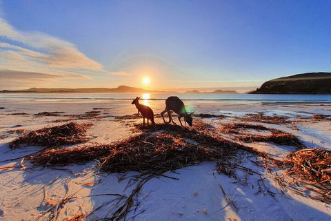 10-Day Perth To Adelaide Adventure Tour - New South Wales Tourism  1