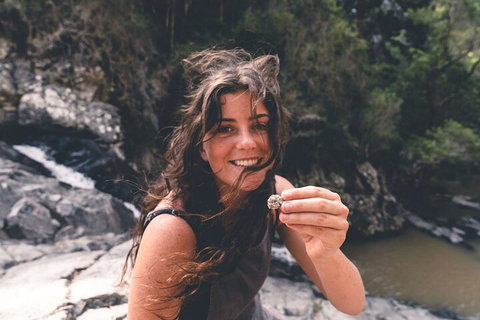 Springbrook AndTamborine Rainforest Tour Incl Natural Bridge And Glow Worm Cave - New South Wales Tourism  1