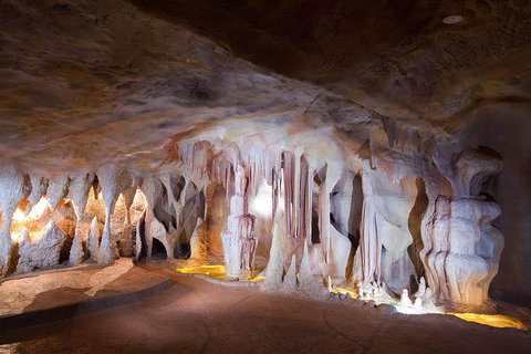 Springbrook AndTamborine Rainforest Tour Incl Natural Bridge And Glow Worm Cave - New South Wales Tourism  4