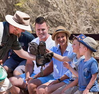 2 day Ultimate Kangaroo Island with return ferry - New South Wales Tourism 