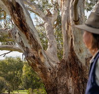 NEW TOUR - Kangaroo Island Road to Recovery Tour 1 Day/1 Night - New South Wales Tourism 
