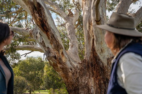 NEW TOUR - Kangaroo Island Road To Recovery Tour (1 Day/1 Night) - New South Wales Tourism  0