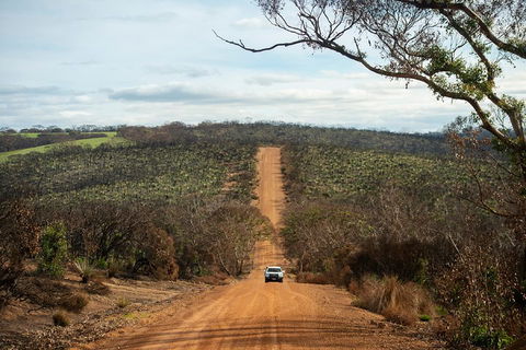 NEW TOUR - Kangaroo Island Road To Recovery Tour (1 Day/1 Night) - New South Wales Tourism  2