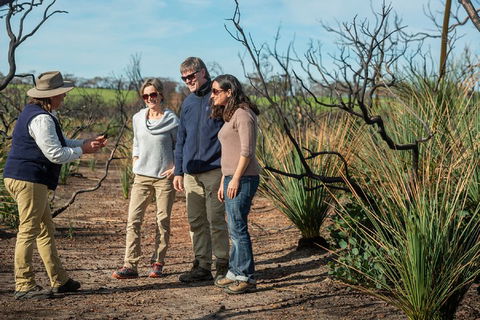 NEW TOUR - Kangaroo Island Road To Recovery Tour (1 Day/1 Night) - New South Wales Tourism  4