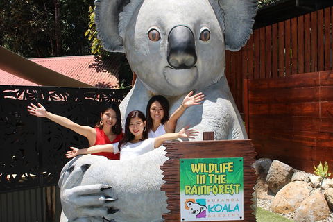 Kuranda Koala Gardens And Birdworld Admission Tickets - New South Wales Tourism  3