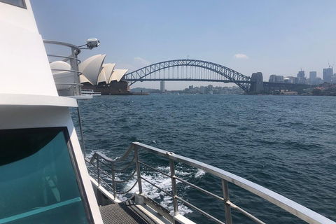 Sydney Harbour Discovery Cruise Including Lunch - New South Wales Tourism  3