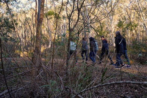 Wild Australian Wildlife 4WD Tour From Sydney - New South Wales Tourism  0