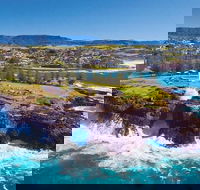 Sydney Wine Tour  Wine Waves  Wildlife in South Coast - New South Wales Tourism 