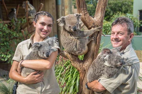 Sydney Wine Tour â€“ Wine, Waves & Wildlife In South Coast - New South Wales Tourism  2