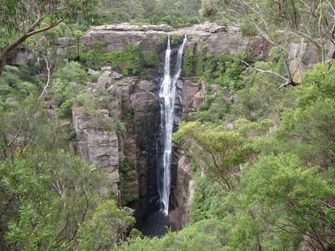 Sydney Wine Tour â€“ Wine, Waves & Wildlife In South Coast - New South Wales Tourism  3