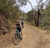 Mount Lofty Descent Bike Tour from Adelaide - New South Wales Tourism 