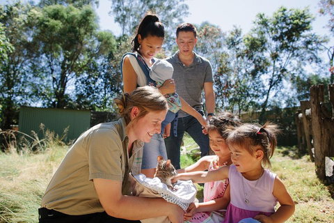 Featherdale Wildlife Park General Admission - New South Wales Tourism  0