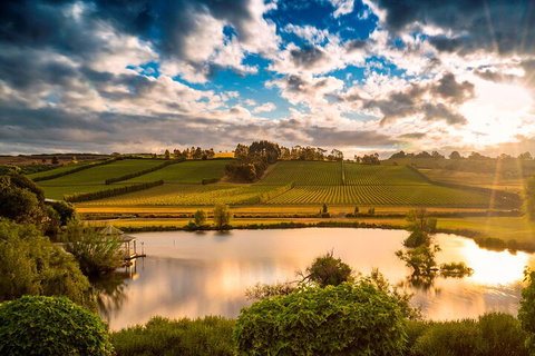 Josef Chromy Wines Winery Tour Including Tasting And Lunch - New South Wales Tourism  3