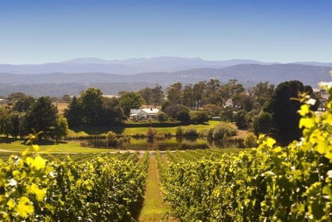 Josef Chromy Wines Winery Tour Including Tasting And Lunch - New South Wales Tourism  4