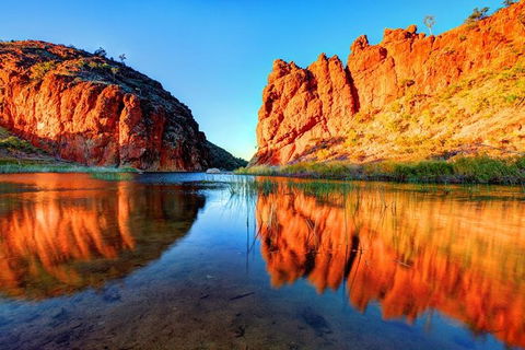 West MacDonnell Ranges Day Trip From Alice Springs - New South Wales Tourism  2