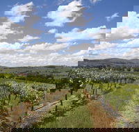 Hunter Valley Wine Tour from Sydney incl Lunch Cheese Chocolate and Distillery - New South Wales Tourism 