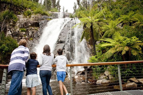 Lake Mountain Snow Trip Including Yarra Valley Chocolaterie From Melbourne - New South Wales Tourism  0
