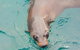 Wilsons Promontory Full Day Cruise - thumb 0