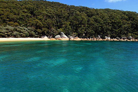 Wilsons Promontory Full Day Cruise - New South Wales Tourism  4