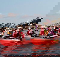 Brisbane River Guided Evening Tour by Kayak - Our Most Popular Tour - New South Wales Tourism 