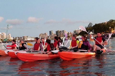 Brisbane River Guided Evening Tour By Kayak - Our Most Popular Tour - New South Wales Tourism  0