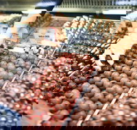 Pinnacles Desert Private Tour - New South Wales Tourism 