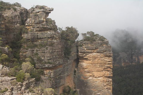 Private Blue Mountains Tour With Expert Guide - New South Wales Tourism  5
