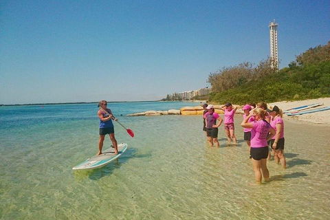 Golden Beach 1-Hour Stand-Up Paddleboard Hire On The Sunshine Coast - New South Wales Tourism  1