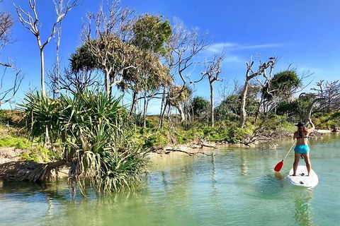 Golden Beach 1-Hour Stand-Up Paddleboard Hire On The Sunshine Coast - New South Wales Tourism  5