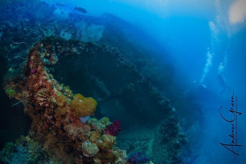 Scuba Dive The S.S. Yongala Wreck On The Great Barrier Reef. - New South Wales Tourism  3