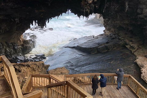 Kangaroo Island 4WD Tour - Best Of KI - New South Wales Tourism  1