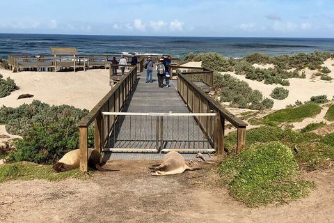 Kangaroo Island 4WD Tour - Best Of KI - New South Wales Tourism  2