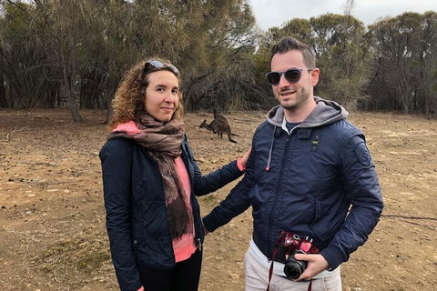 Kangaroo Island 4WD Tour - Best Of KI - New South Wales Tourism  3