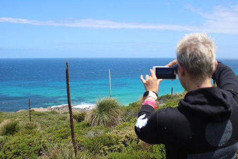 Margaret River Coastal And Wildlife Eco Trip From Busselton Or Dunsborough - New South Wales Tourism  3