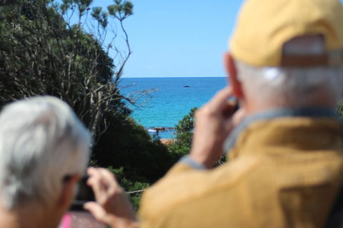 Margaret River Coastal And Wildlife Eco Trip From Busselton Or Dunsborough - New South Wales Tourism  5